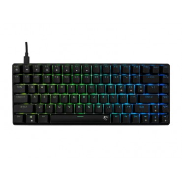 Keyboard White Shark...